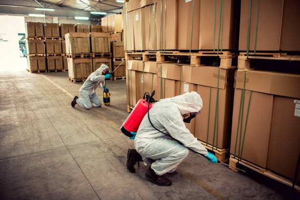 Best Best Pest Control Companies  in Rosanky, TX