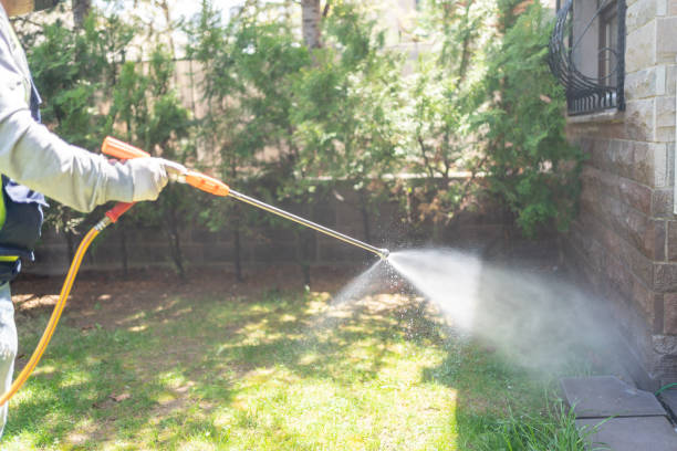 Best Affordable Pest Control Services  in Rosanky, TX