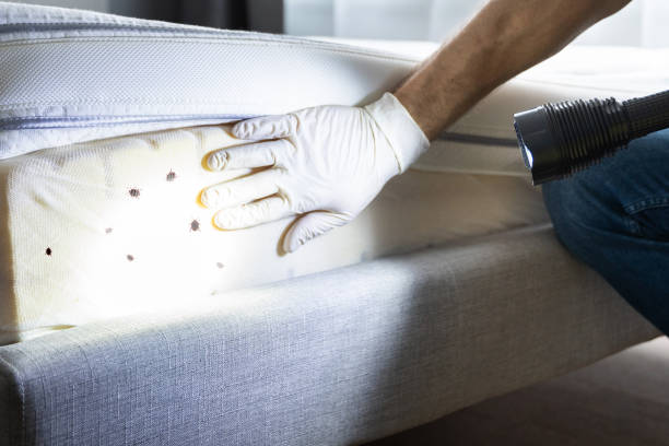 Best Pest Control Near Me  in Rosanky, TX